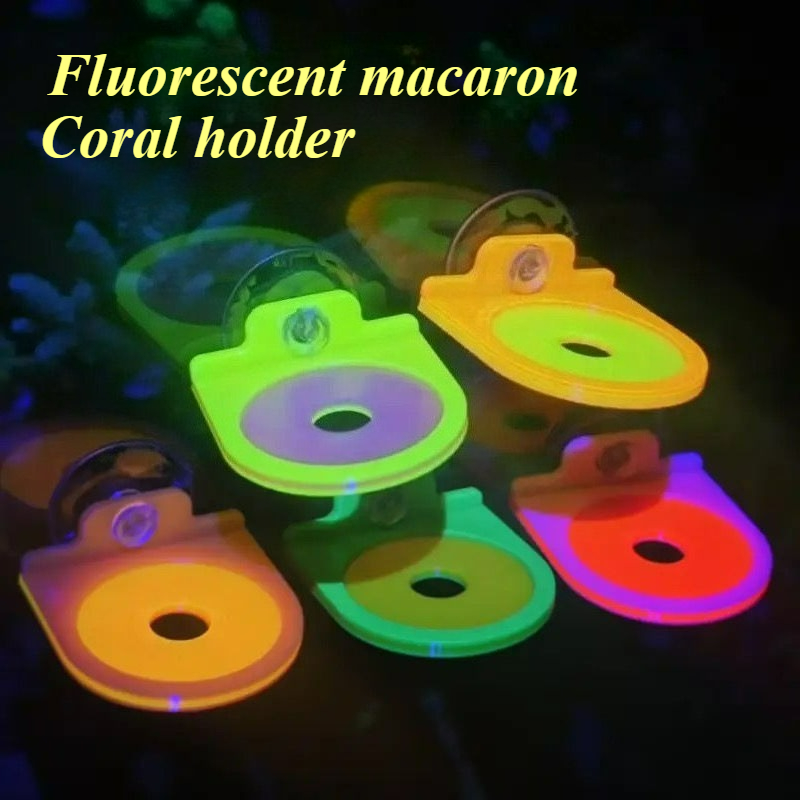 Aquarium Marine Color - Kolor losowy koralowy uchwyt na fragmenty