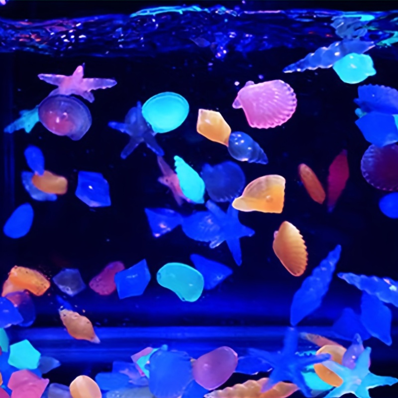 100 SZTUK Morskich Kamieni Lum – Aquarium Marine Color recenzja i cena