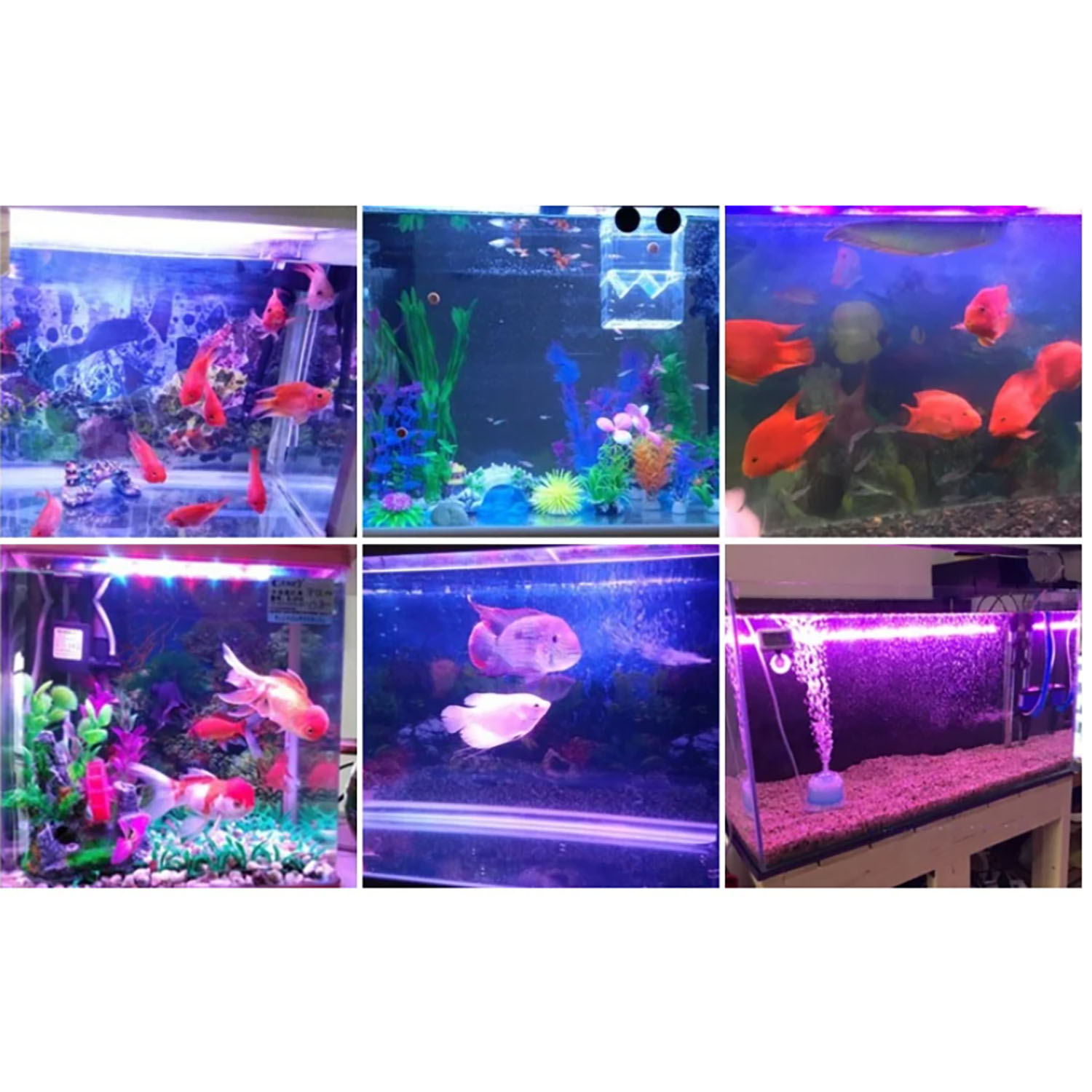 50W 60W 70W 100W RGB 26-28V Wy – Aquarium Marine Color recenzja i cena