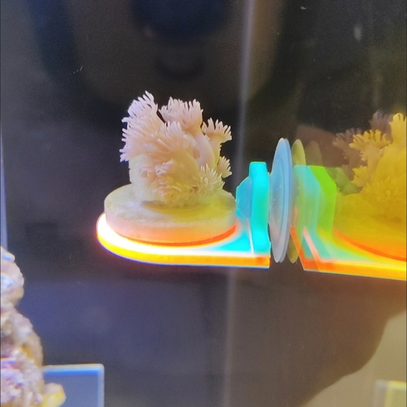 Kolor losowy koralowy uchwyt n – Aquarium Marine Color recenzja i cena