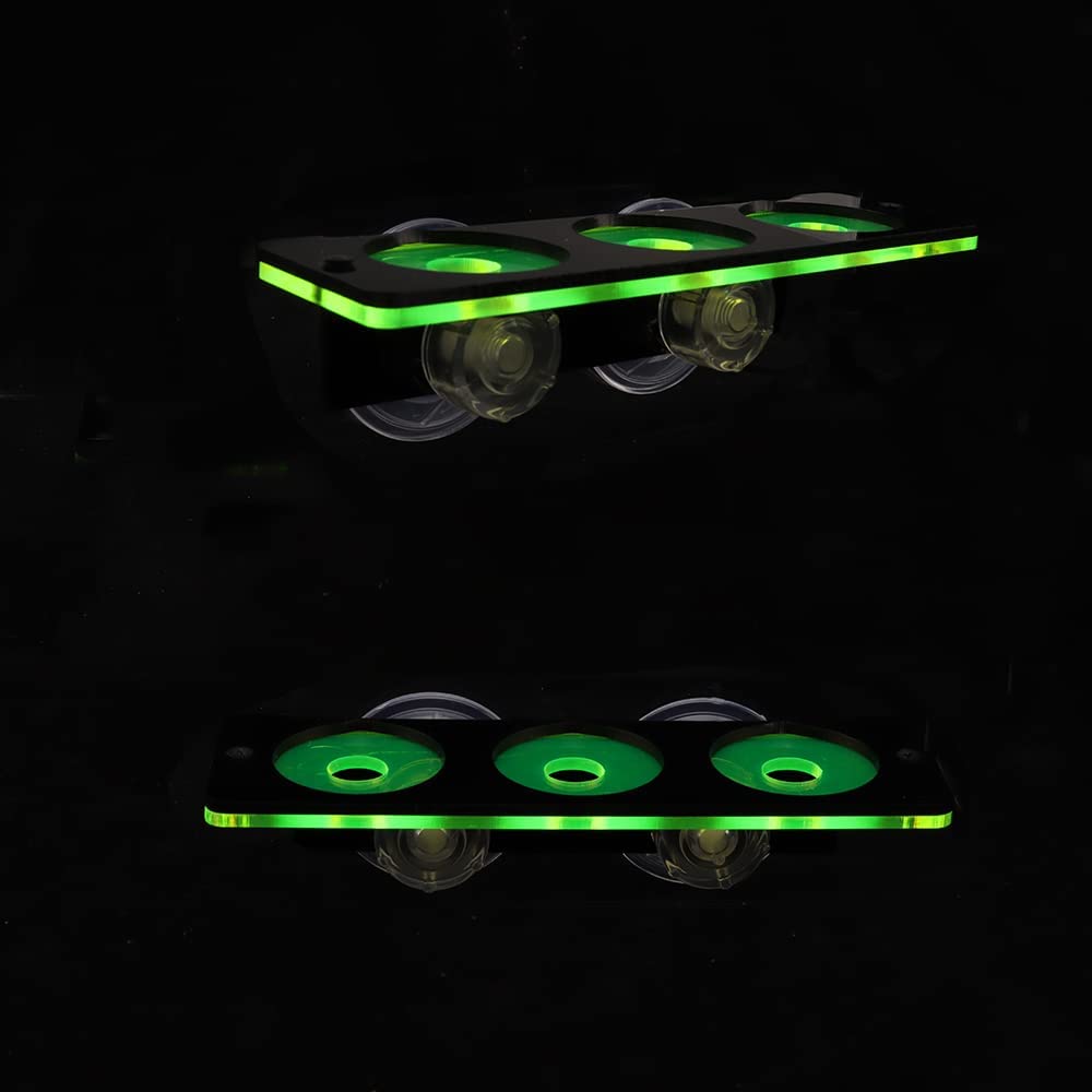 Fluorescencyjny koralowy wspor – Marine Aquarium Design recenzja i cena