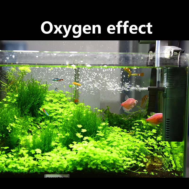 SUNSUN mini nano 111B 311B 611 – Marine Aquarium Design recenzja i cena